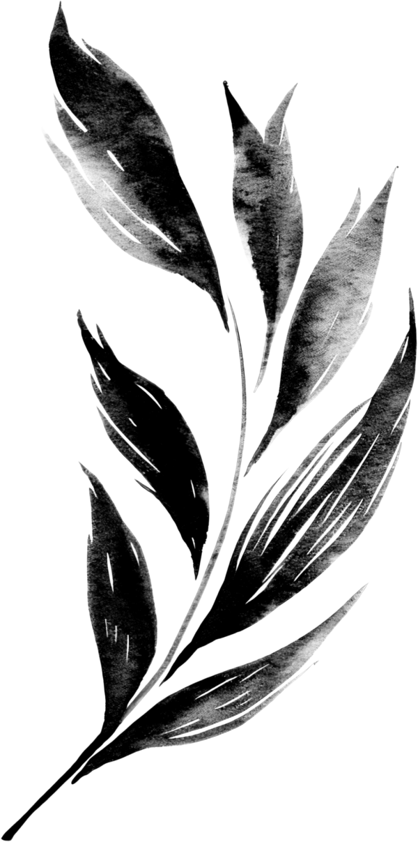 Ateşoğlu Watermark