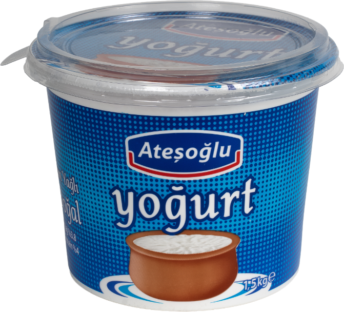Geleneksel Yoğurt